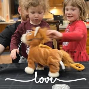 Meet your Posher, Bonnie